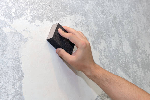 Best Mold Damage Restoration  in Raoul, GA
