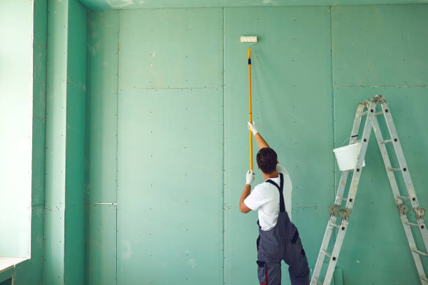 Best HVAC Mold Inspection and Cleaning  in Raoul, GA