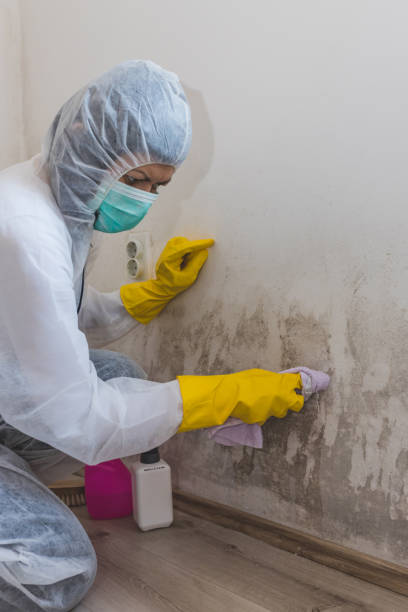 Best Airborne Mold Testing  in Raoul, GA