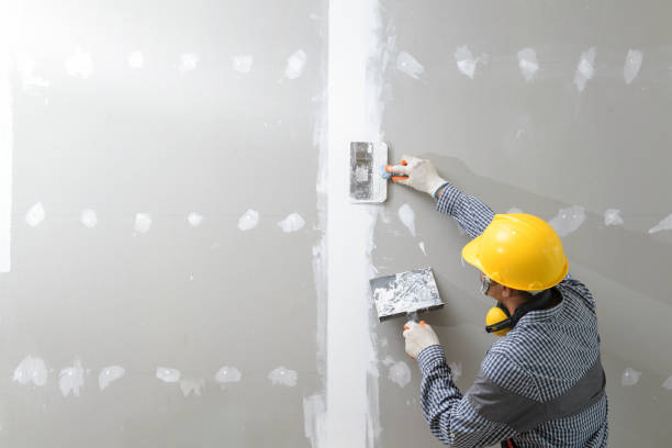 Best Comprehensive Air Testing for Mold Contaminants  in Raoul, GA