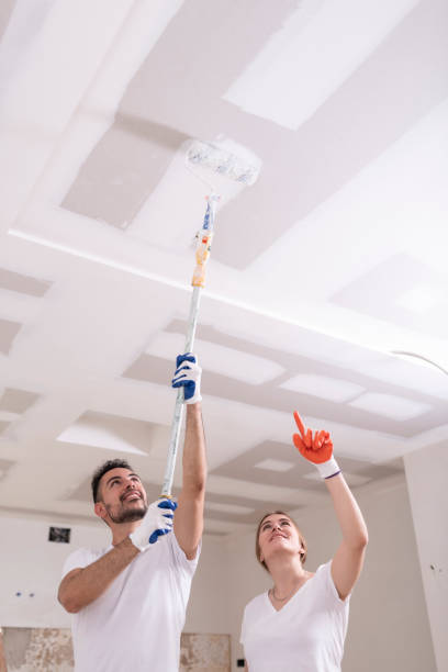 Reliable Raoul, GA Mold Removal Solutions